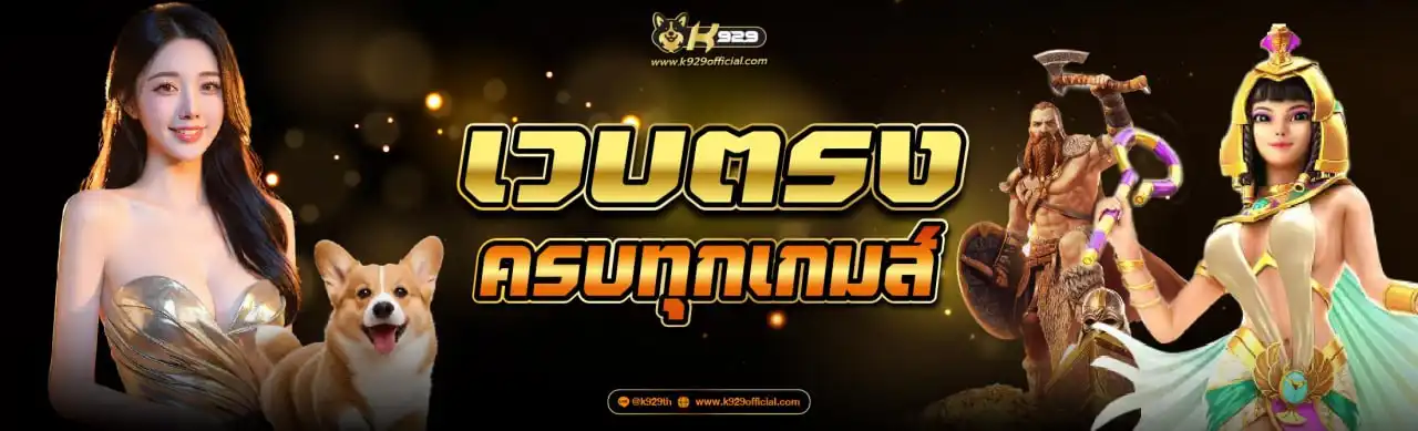 banner k929